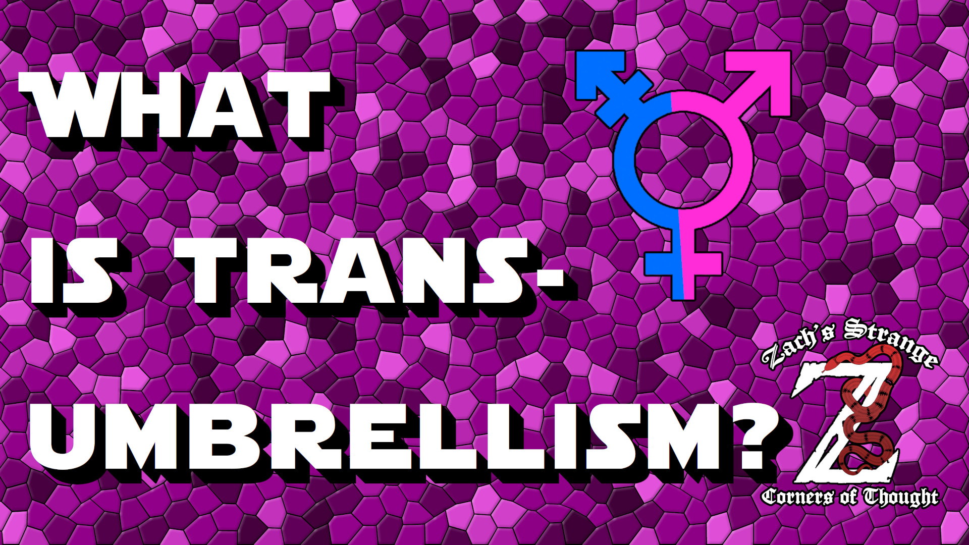what is trans umbrellism? thumbnail