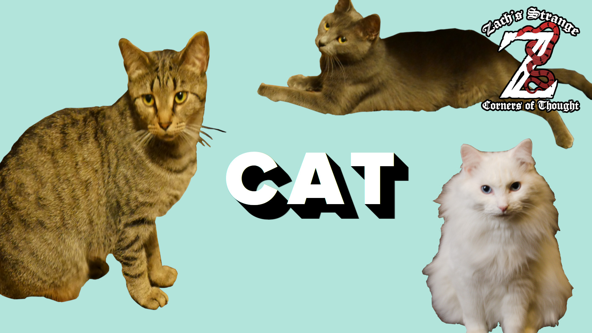 Sense, Reference, & Cats | Frege/Russell Debate Thumbnail